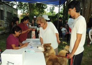 M&aacute;s de 100 atenciones en el Carnaval de Mascotas