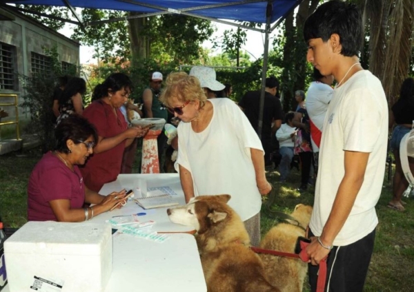 M&aacute;s de 100 atenciones en el Carnaval de Mascotas