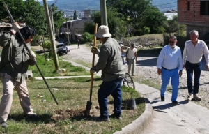 Una ciudad más verde: San Salvador de Jujuy supera los 3000 ejemplares plantados