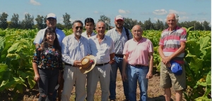 Mejoramiento del estado de los suelos tabacaleros