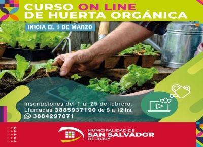 Curso on-line de huerta org&aacute;nica