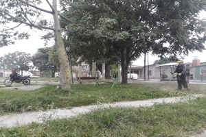 Continua desmalezado en barrios capitalinos