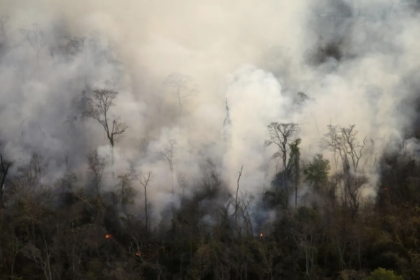 Incendios Forestales: Jujuy declara emergencia &iacute;gnea y triplica las multas