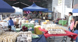 240 STADS EN LA FERIA DE LAS OFRENDAS Y LAS FLORES