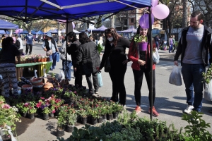 Paseo de las Plantas: un punto de encuentro social, comercial y para recrearse los d&iacute;as s&aacute;bados