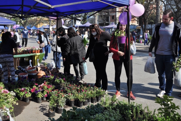 Paseo de las Plantas: un punto de encuentro social, comercial y para recrearse los d&iacute;as s&aacute;bados