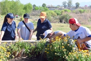 Asociaci&oacute;n Todos Juntos particip&oacute; en la siembra de semillas