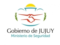 Moratoria para el pago de deudas viales