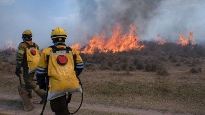 Brigadistas de distintas provincias luchan contra el fuego en Corrientes