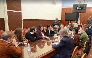 En plenario de comisiones se escucharon los aportes de APUAP