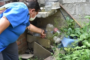 Jujuy no registra casos confirmados de dengue