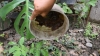 Jujuy contin&uacute;a sin casos de dengue