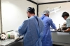 El Municipio alcanz&oacute; las 14 mil esterilizaciones de mascotas