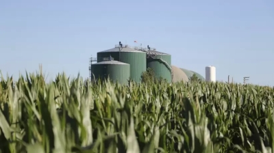 Por qu&eacute; el de los biocombustibles es el sector olvidado de la industria energ&eacute;tica argentina