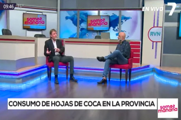 "Jujuy esta preparada para el cultivo de hojas de coca"