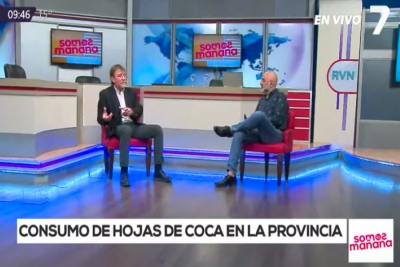 "Jujuy esta preparada para el cultivo de hojas de coca"