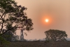 La ministra In&eacute;s Zigar&aacute;n apel&oacute; a la conciencia y responsabilidad ciudadana para evitar los incendios forestales