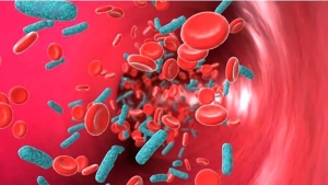 El avance de cient&iacute;ficos argentinos contra el c&aacute;ncer podr&iacute;a usarse para diversos tumores