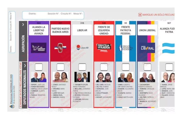 Renuncia de Espert: el Gobierno apel&oacute; el fallo por la reimpresi&oacute;n de boletas en PBA y ahora definir&aacute; la C&aacute;mara Nacional Electoral