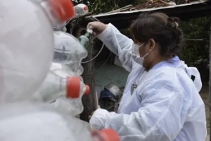 Jujuy: Se registraron 193 nuevos casos de Dengue y un fallecido