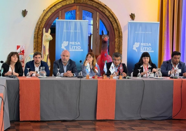 Mesa del Litio avanza en un plan estrat&eacute;gico