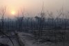 COEI: incendios forestales en Yuto y Caimancito
