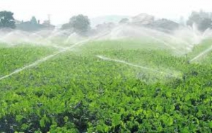 Se aprob&oacute; la ley de biocombustibles