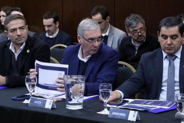 Jujuy en el COFESA. y la estrategia nacional de prevención y diagnóstico del ACV