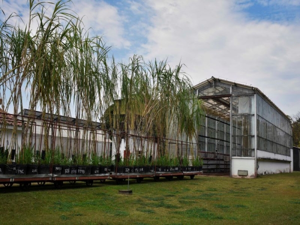 La Chacra experimental Santa Rosa cumple 70 a&ntilde;os