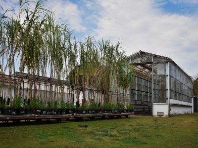 La Chacra experimental Santa Rosa cumple 70 a&ntilde;os