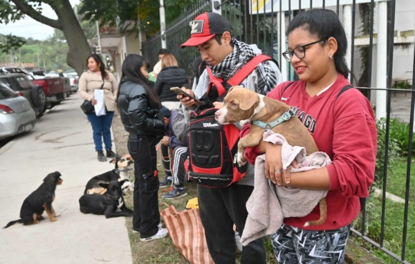 Realizan vacunaci&oacute;n antirr&aacute;bica y castraciones masivas