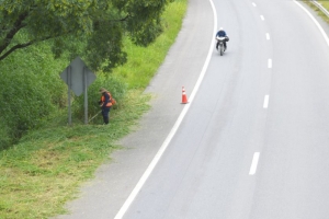 Vialidad Provincial comenz&oacute; a desmalezar rutas nacionales