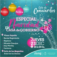 Especial de Navidad en Casa de Gobierno