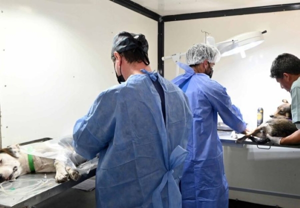 Quir&oacute;fano de Zoonosis atender&aacute; en cuatro puntos de la ciudad