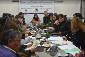 Diputados.Ministra de Ambiente explic&oacute; modificaciones a la Ley GIRSU