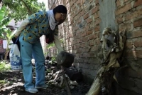Jujuy: se registraron 54 nuevos casos de dengue