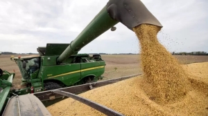 Golpe al campo: la Bolsa de Comercio de Rosario recort&oacute; las estimaciones de cosecha de soja y ma&iacute;z por la ola de calor