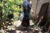 Se fortalece la vigilancia a&uacute;n con el descenso de casos de dengue