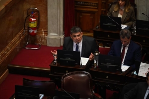 Senado: la oposici&oacute;n dej&oacute; sin efecto el veto de Milei y reactiv&oacute; la ley de emergencia en discapacidad