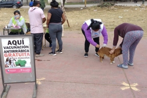Contin&uacute;a la Campa&ntilde;a de Vacunaci&oacute;n Antirr&aacute;bica en la ciudad