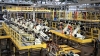 La utilizaci&oacute;n de la capacidad instalada de la industria aument&oacute; a 67,6%
