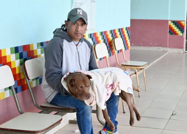 Cronograma semanal de castraciones y vacunaci&oacute;n de mascotas