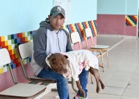 Cronograma semanal de castraciones y vacunaci&oacute;n de mascotas