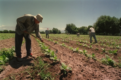 Lanzan en Jujuy plan de vacunaci&oacute;n para rurales