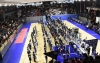 Apertura multitudinaria de los Juegos Escolares e Intercolegiales 2024