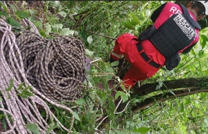 Bomberos de Jujuy rescataron a dos personas que desbarrancaron en Reyes