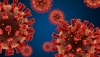 Argentina confirmó los primeros casos de la variante BA.3.2 del virus del COVID: qué dijeron las autoridades sobre su riesgo