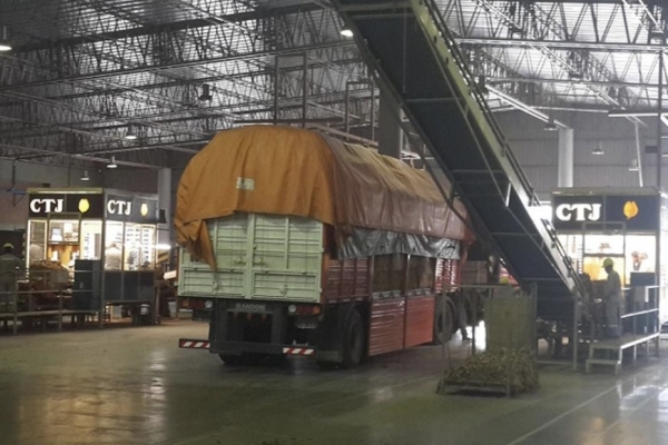 Comenz&oacute; el acopio del tabaco en Jujuy con un aumento de precio del 27,3% sujeto a reajuste