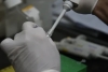 Se analiza un caso probable de dengue en Jujuy