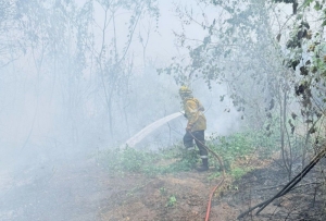 Brigadistas combaten incendios forestales de Ledesma y Santa B&aacute;rbara